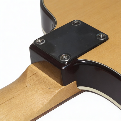 Vintage TELE Style Semi-Hollow Electric Guitar – 5-Year Aged Tonewoods, Ultra-Light 6 lbs